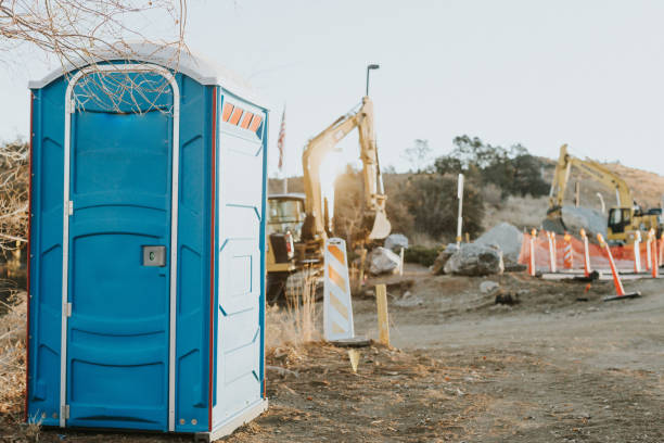 Best Portable bathroom rental  in Princevle, IL